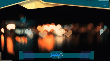 لا تُفوّت الفرصة.. مراجعة نتائج السادس ابتدائي 2025 في كافة المحافظات للدور الأول بتغطية شاملة